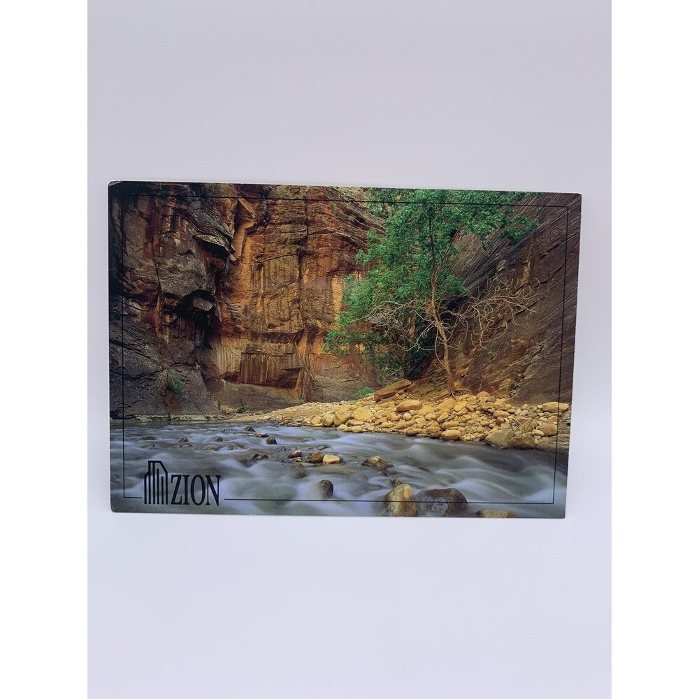 VTG Unused Postcard Zion National Park Springdale Utah
